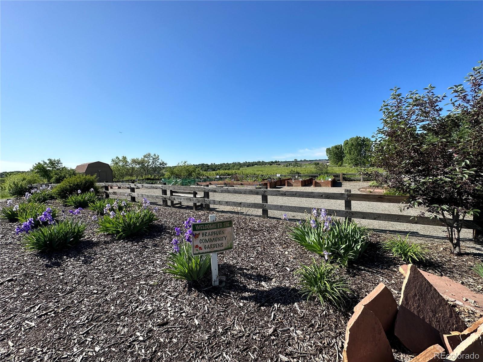 Westminster, Colorado, 80031, United States, 5 Bedrooms Bedrooms, ,3 BathroomsBathrooms,Residential,For Sale,1906070