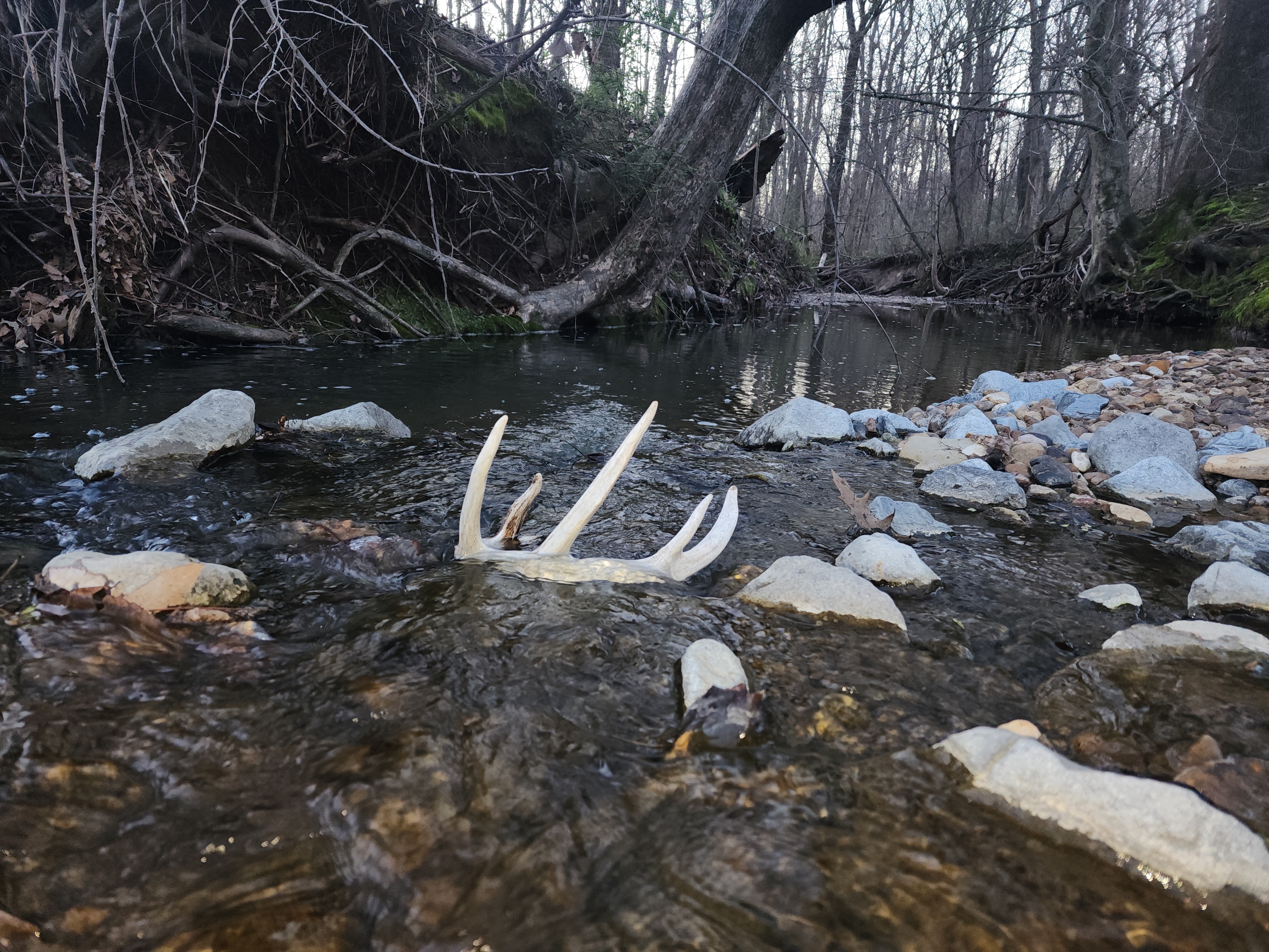 Union City, Tennessee, 38261, United States, ,Land,For Sale,1982811