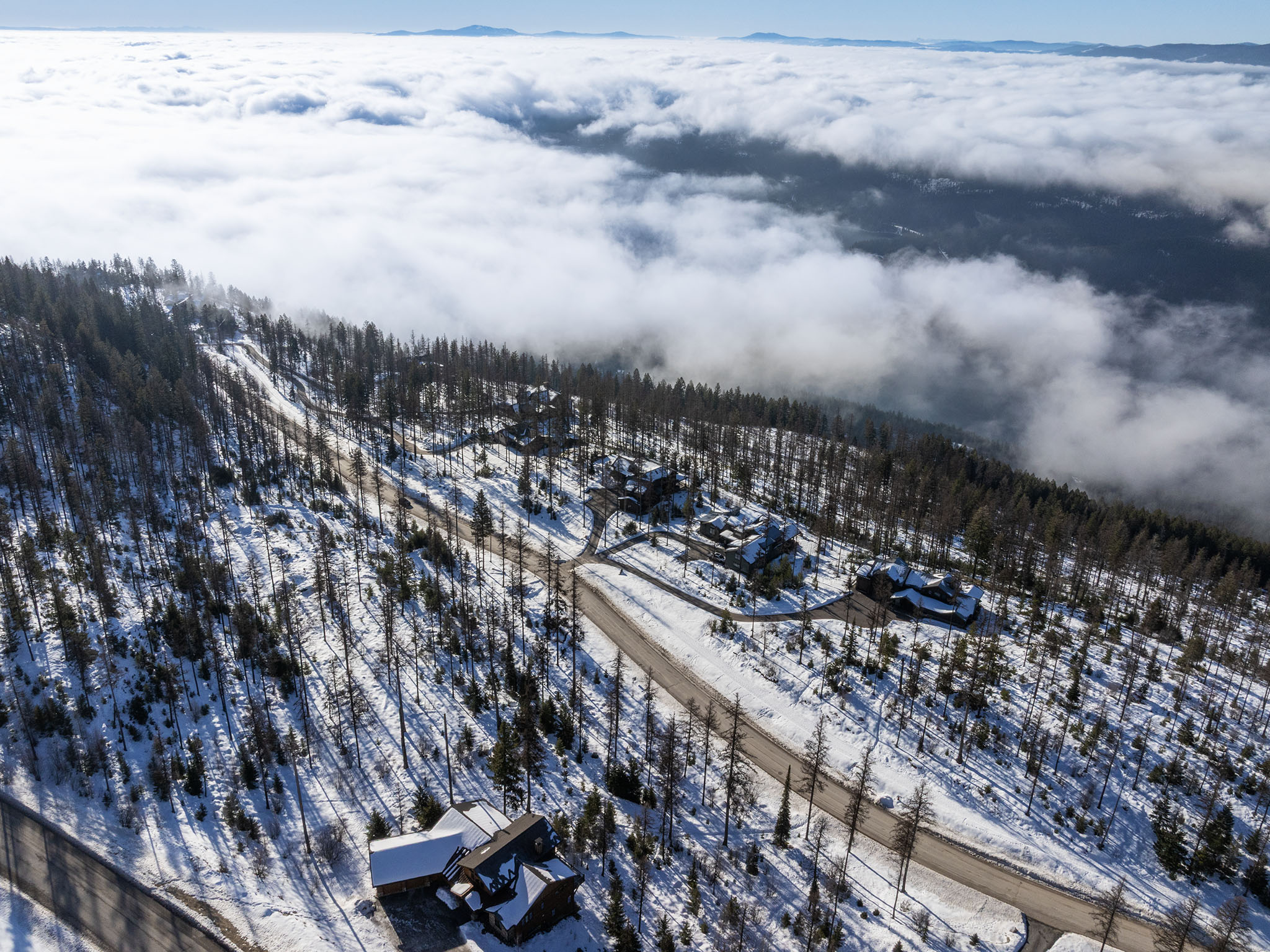  317 Elk Highlands Drive - 物件實景