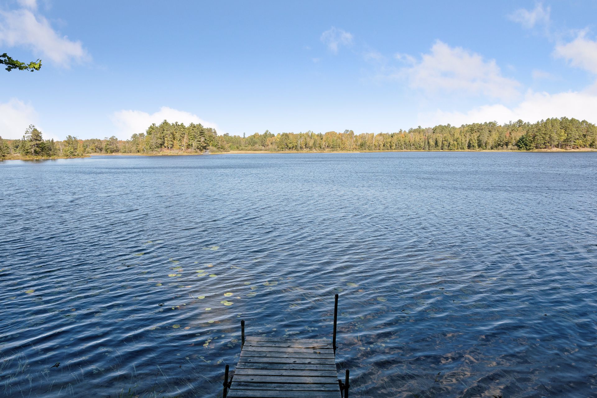  Private Wilderness Retreat Surrounded by National Forest - 物件實景