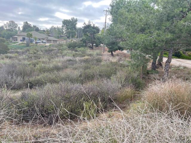 Jamul, California, 91935, United States, ,Land,For Sale,1974125