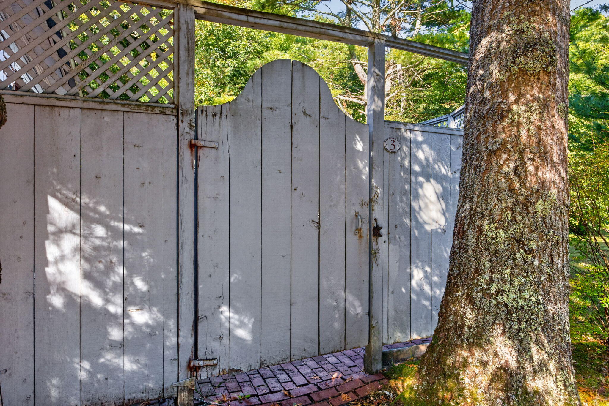  3040 Falmouth Road APT G3 - 物件實景