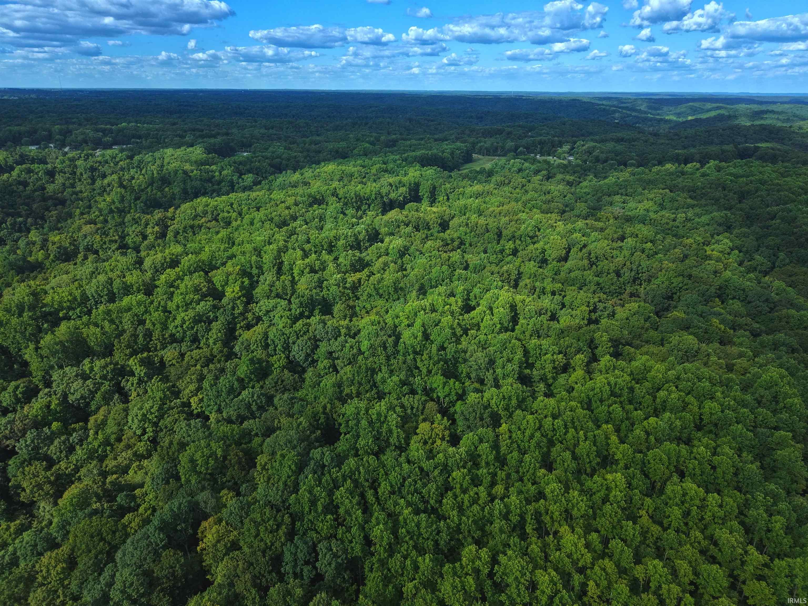 Bloomington, Indiana, 47401, United States, ,Land,For Sale,1976606