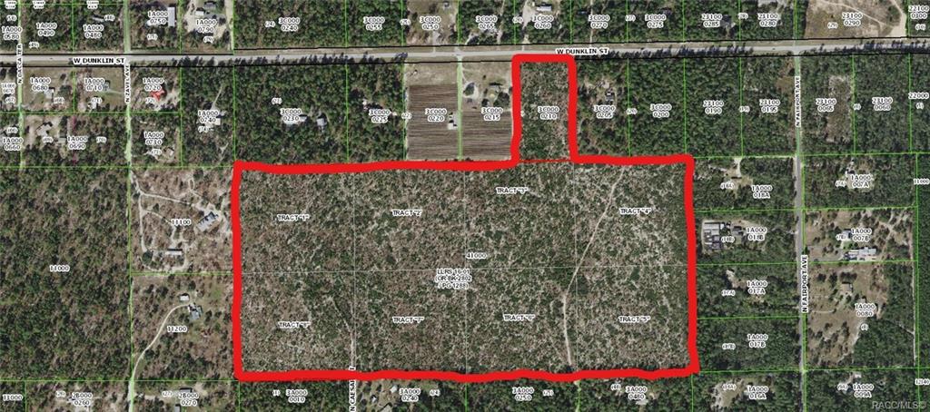 Dunnellon, Florida, 34433, United States, ,Land,For Sale,1990444