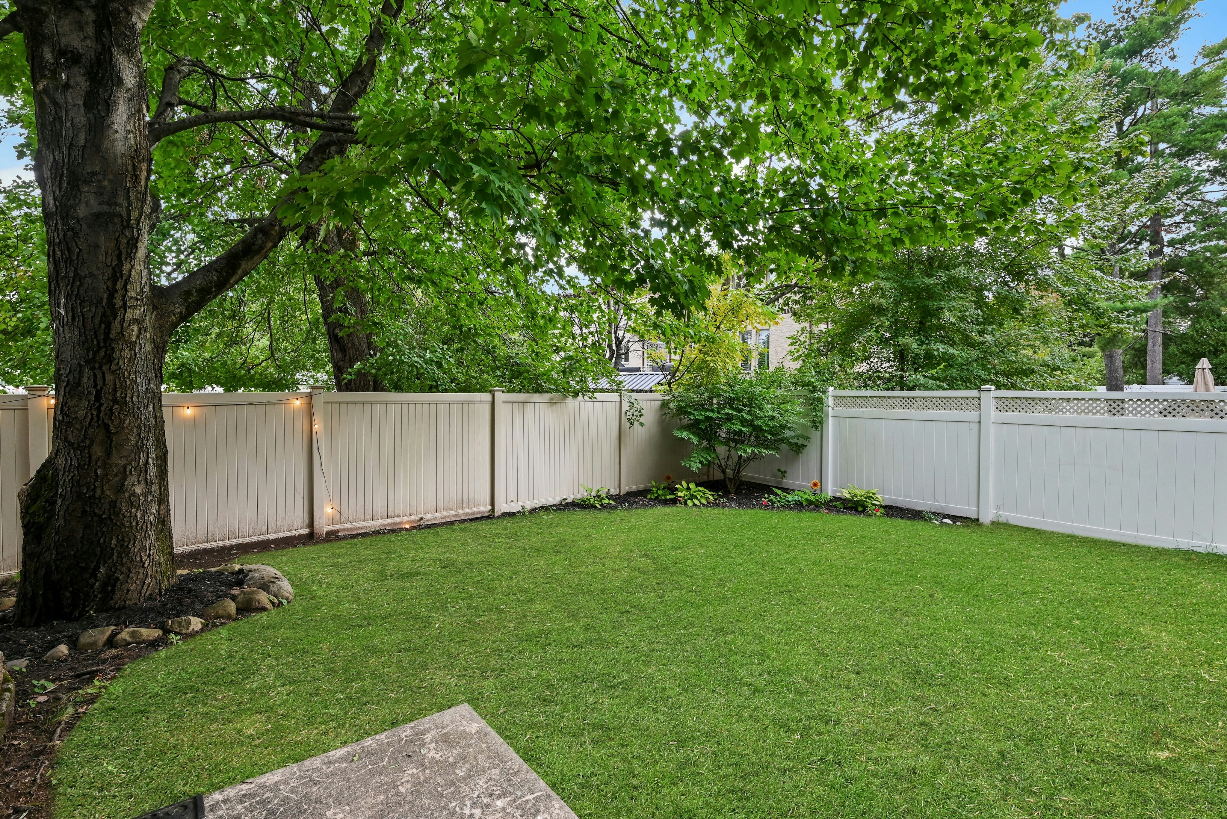  254 Wilson Avenue, Paramus, NJ 07652 - 物件實景