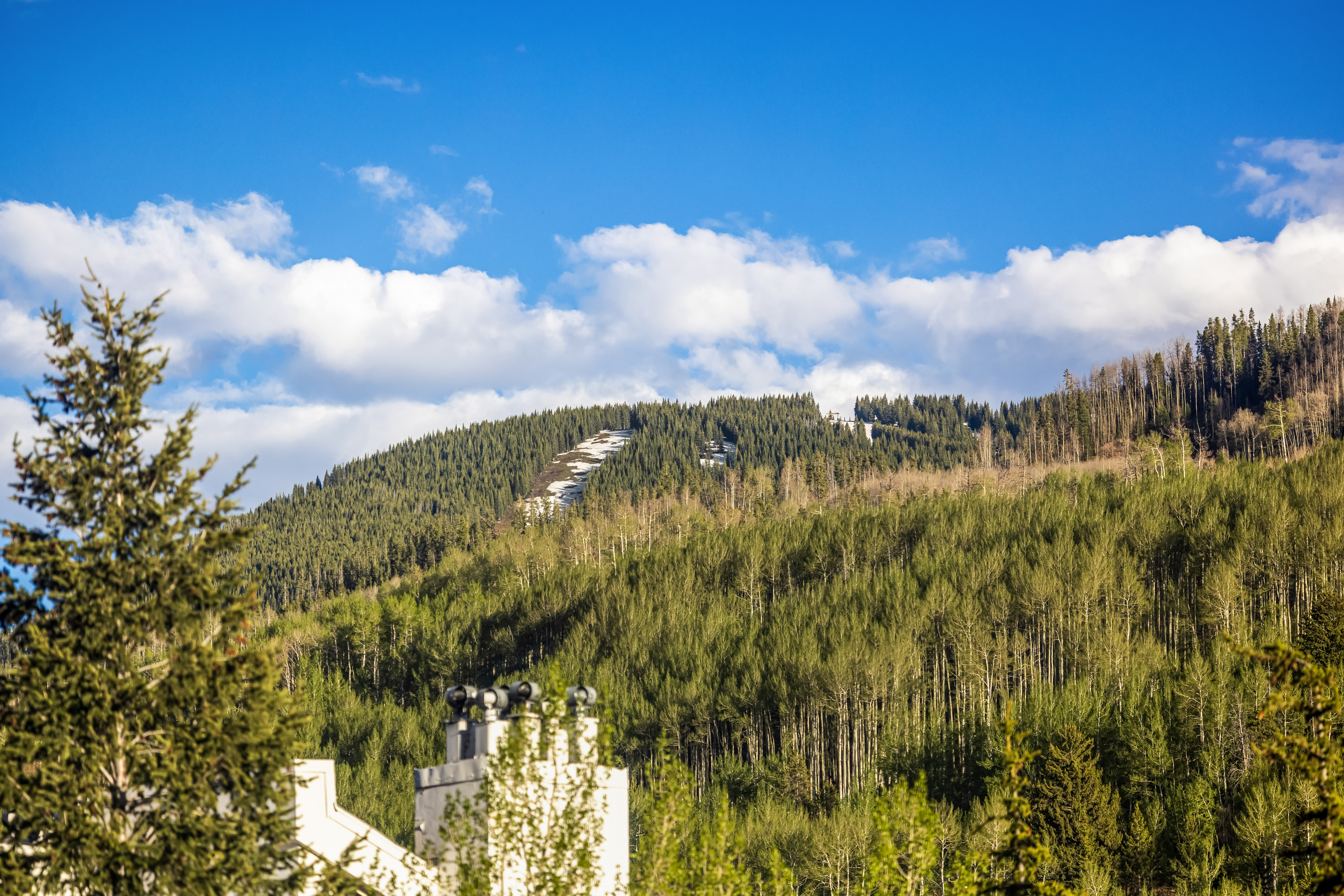  Turnkey, Beautifully Renovated, Single Fourth-Floor View of the Ski Slopes - 物件實景