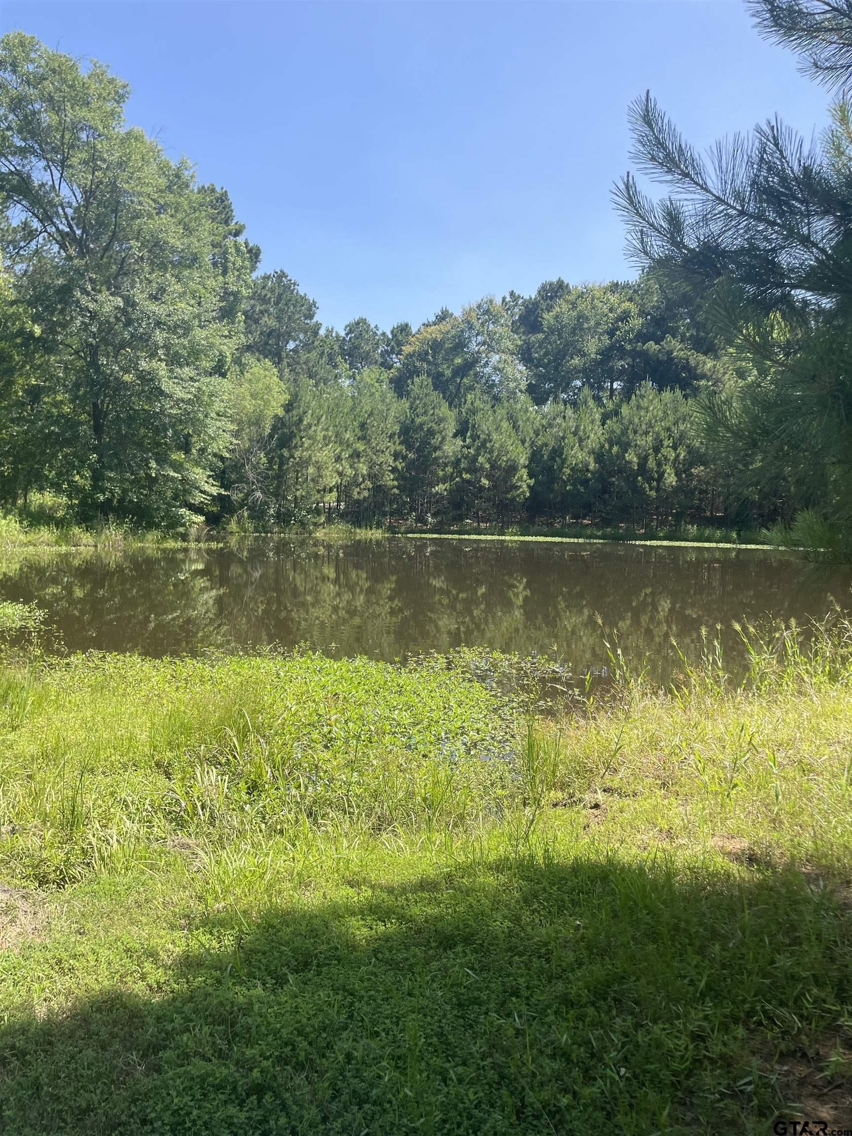 Pittsburg, Texas, 75686, United States, 3 Bedrooms Bedrooms, ,3 BathroomsBathrooms,Residential,For Sale,1982891