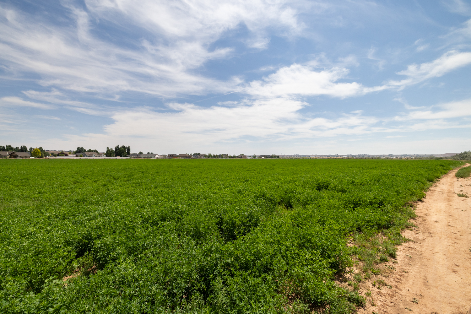 Roosevelt, Utah, 84066, United States, ,Land,For Sale,1903597