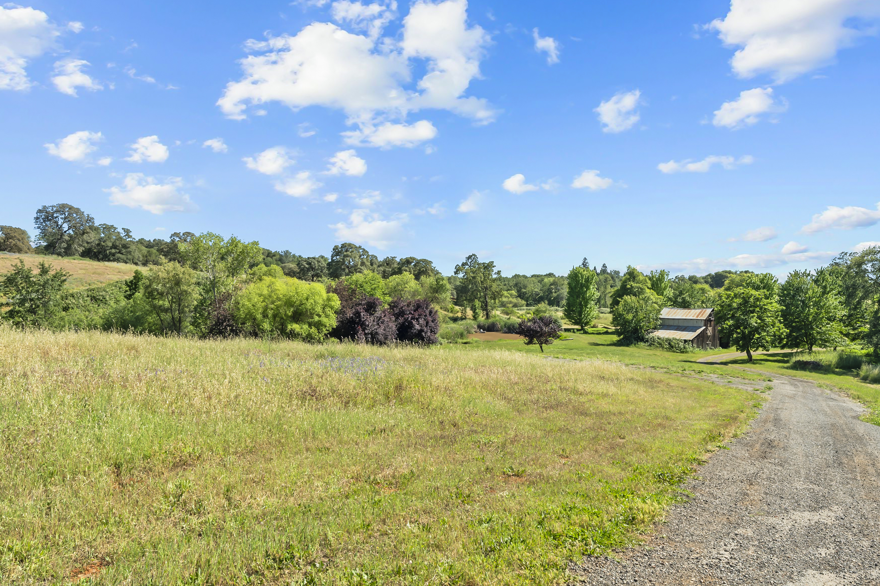  2105 Precision Place, Auburn, CA 95603 - 物件實景