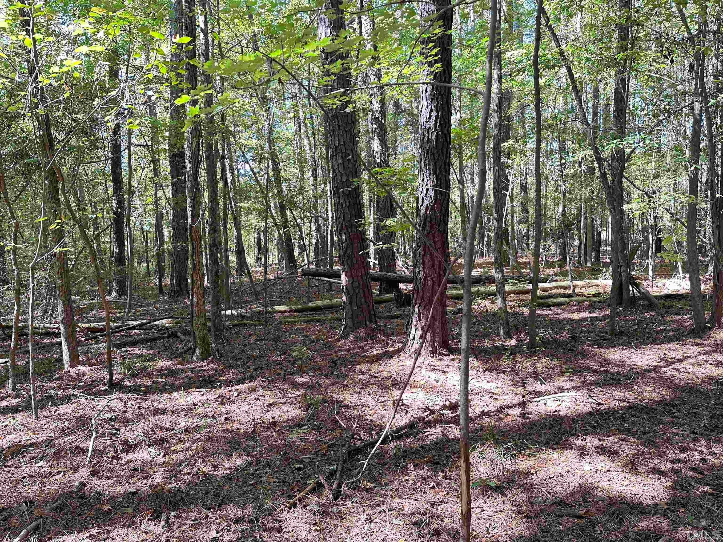 8017 Farrington Mill Road, Chapel Hill, North Carolina, 27517, United States, ,Land,For Sale,8017 Farrington Mill Road,1623508