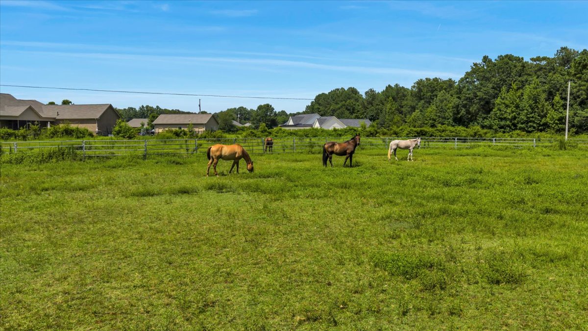 Athens, Alabama, 35613, United States, ,Residential,For Sale,1904529