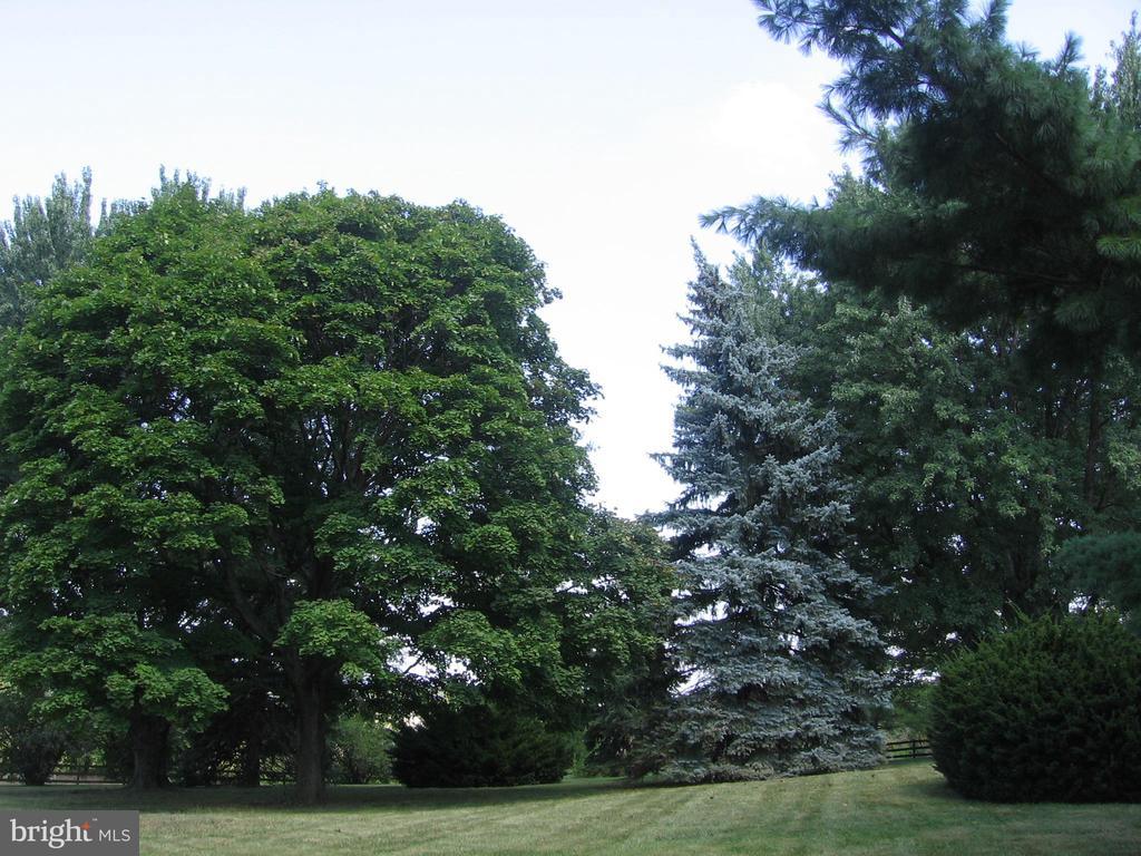 Stephens City, Virginia, 22655, United States, 3 Bedrooms Bedrooms, ,2 BathroomsBathrooms,Residential,For Sale,2001970