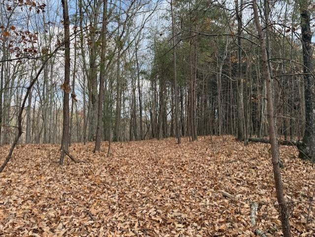 Talking Rock, Georgia, 30175, United States, ,Land,For Sale,1995157