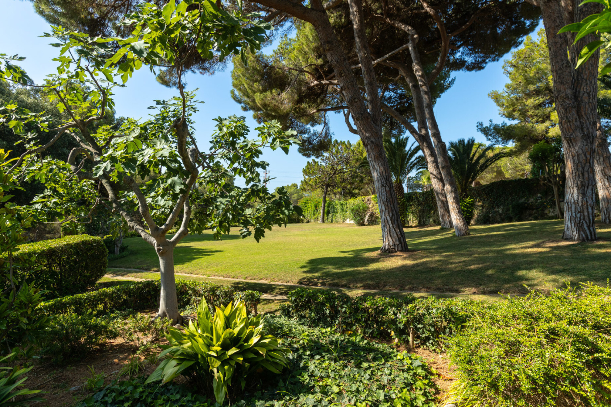  Large property in Llavaneres - Costa norte Barcelona - 物件實景