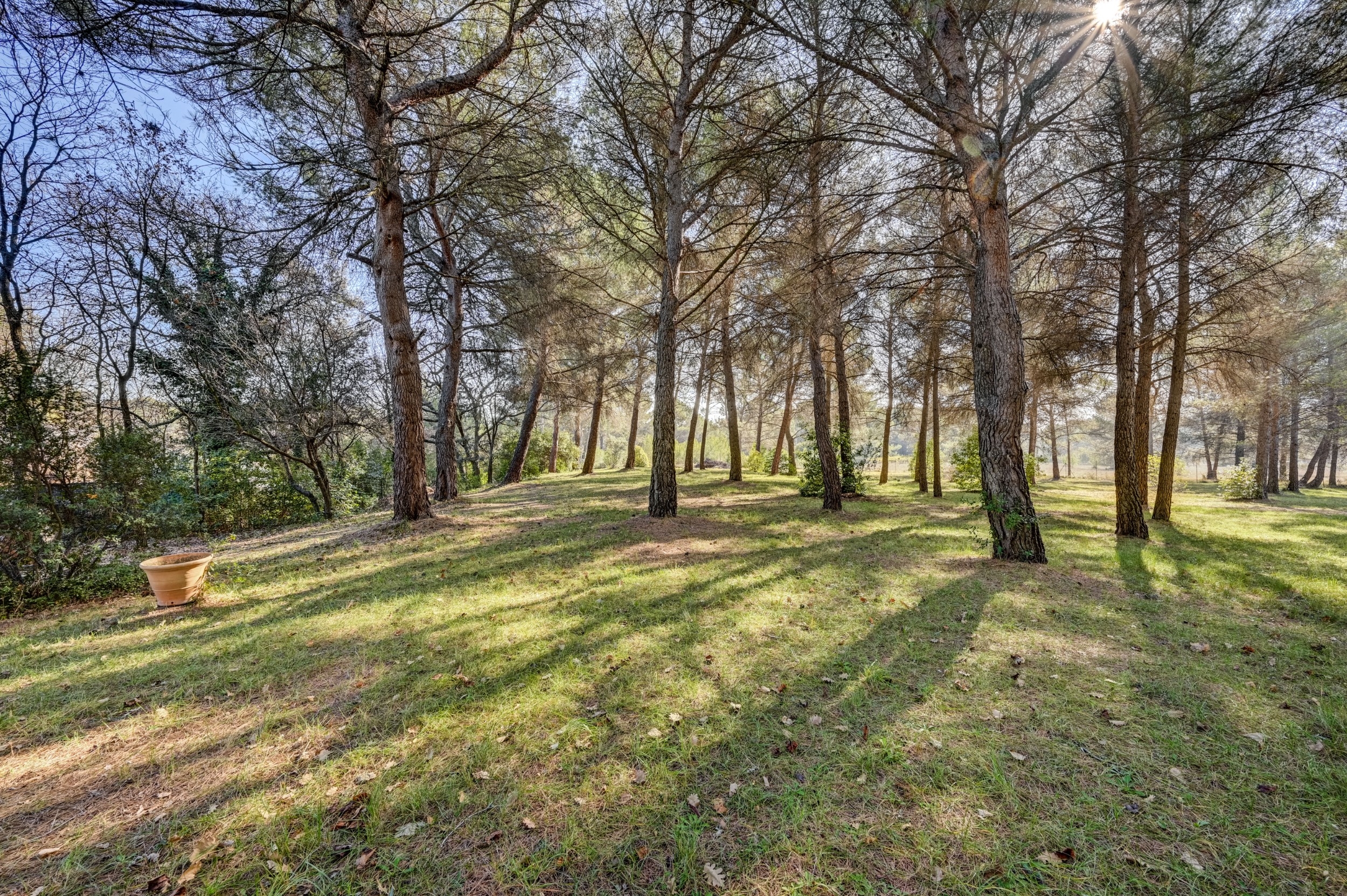  280 m² house near Aix en Provence - 物件實景