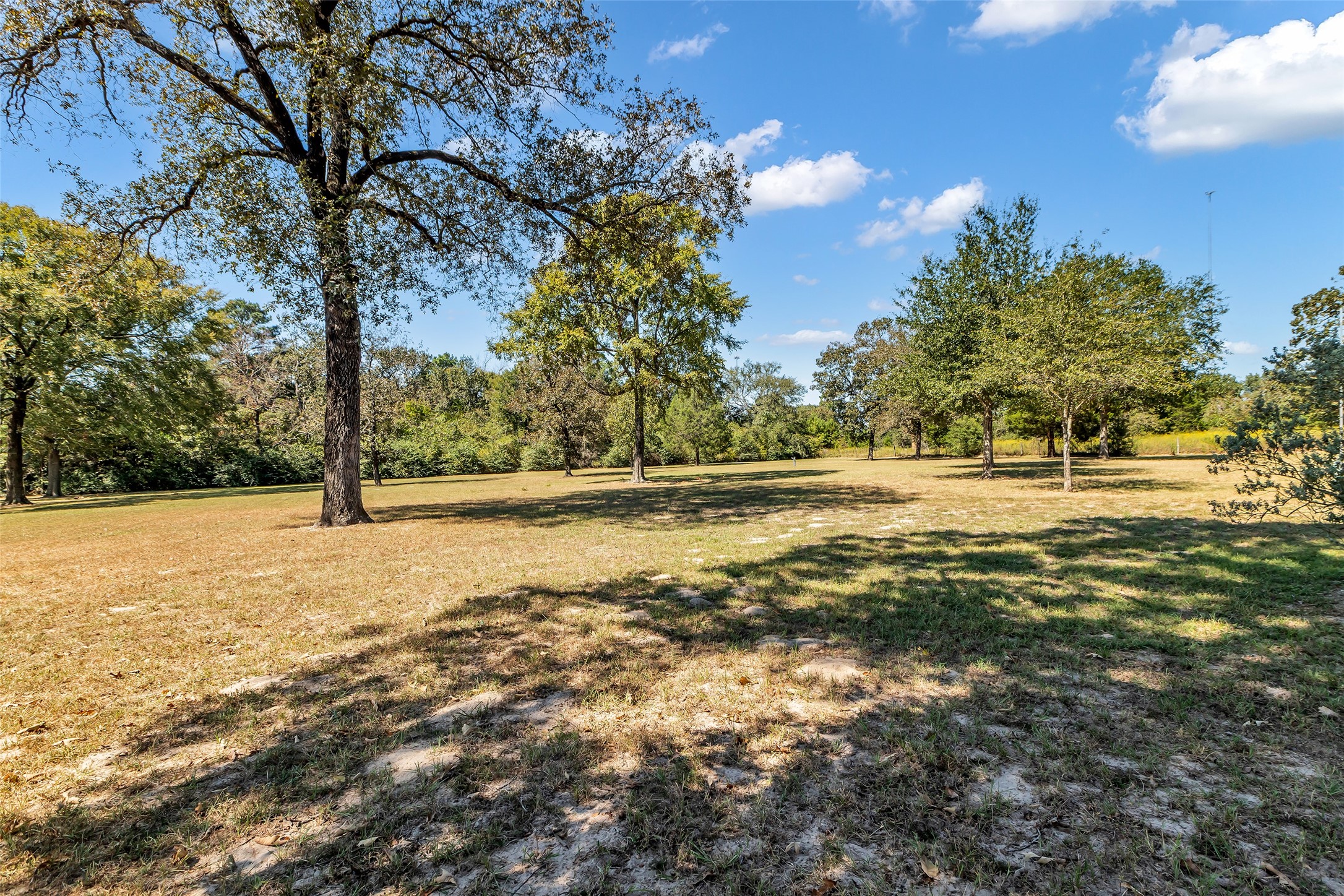 Willis, Texas, 77378, United States, 3 Bedrooms Bedrooms, ,2 BathroomsBathrooms,Residential,For Sale,2001772