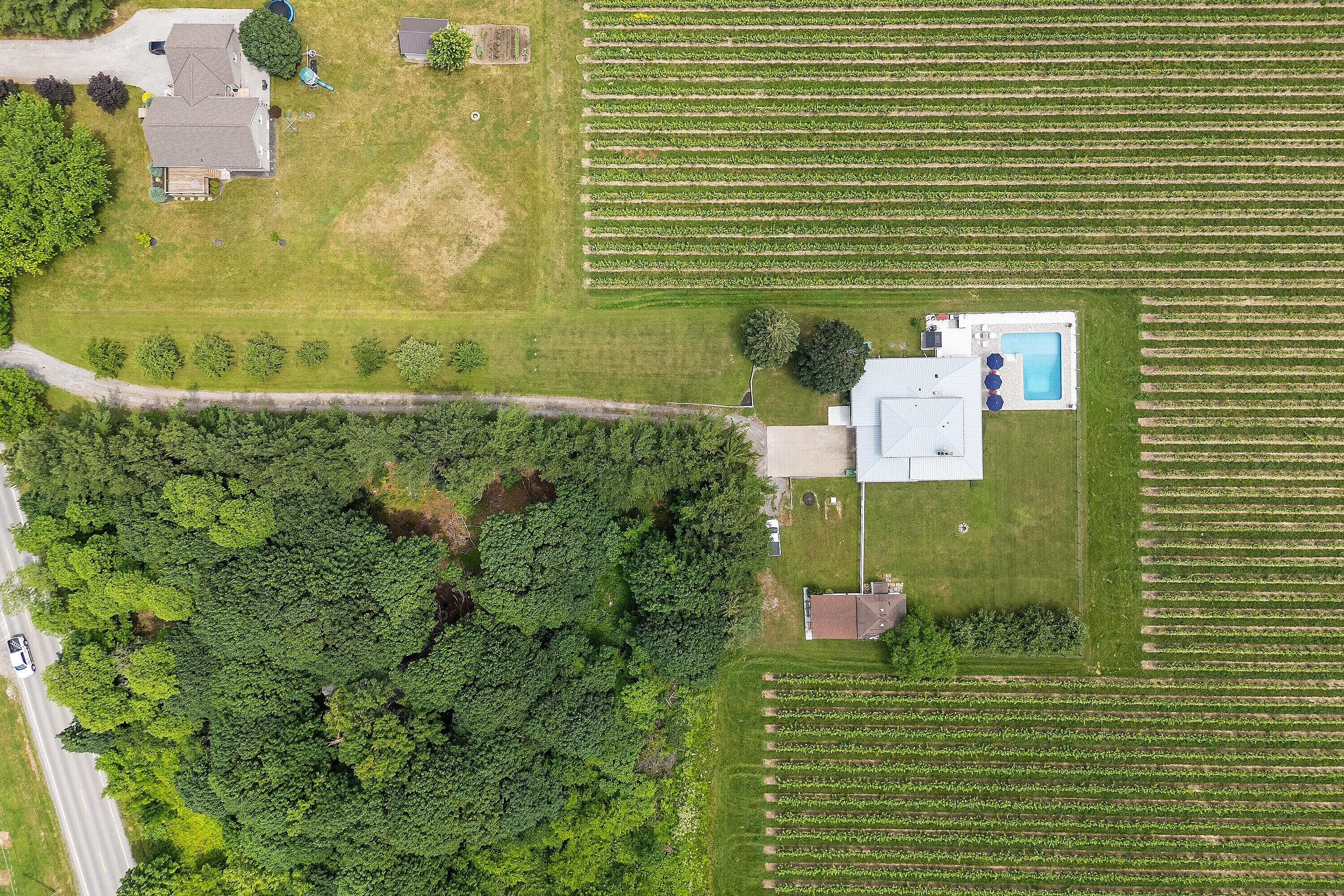 Luxury Vineyard Living - 物件實景