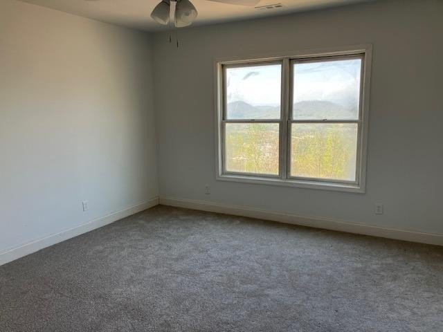 Hiawassee, Georgia, 30546, United States, 5 Bedrooms Bedrooms, ,5 BathroomsBathrooms,Residential,For Sale,1982508