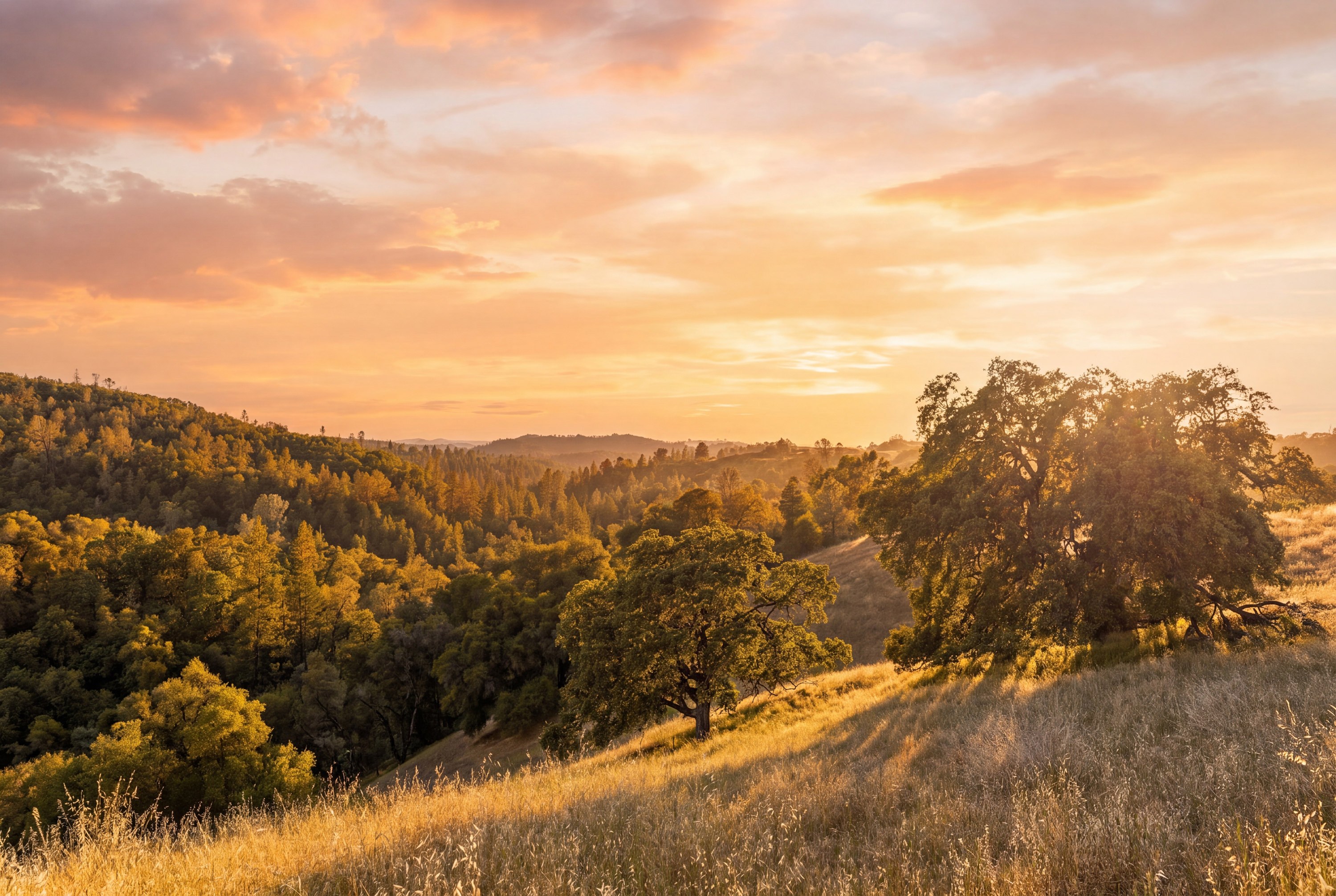 Amoruso Ranch 1000+ Acres Legacy - 物件實景