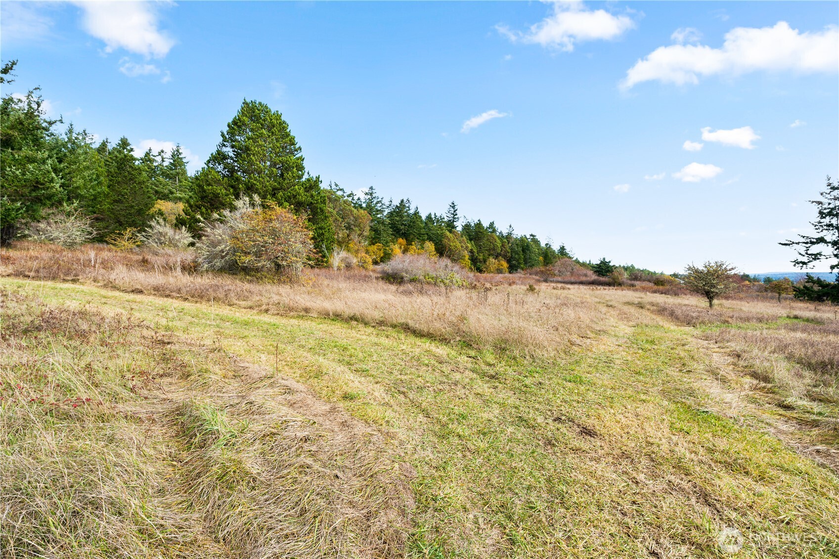 Friday Harbor, Washington, 98250, United States, ,Land,For Sale,1991931