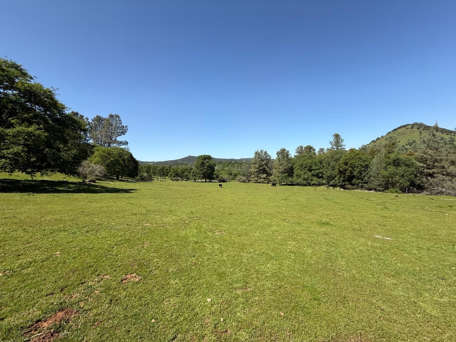 Vallecito, California, 95251, United States, ,Land,For Sale,1980651