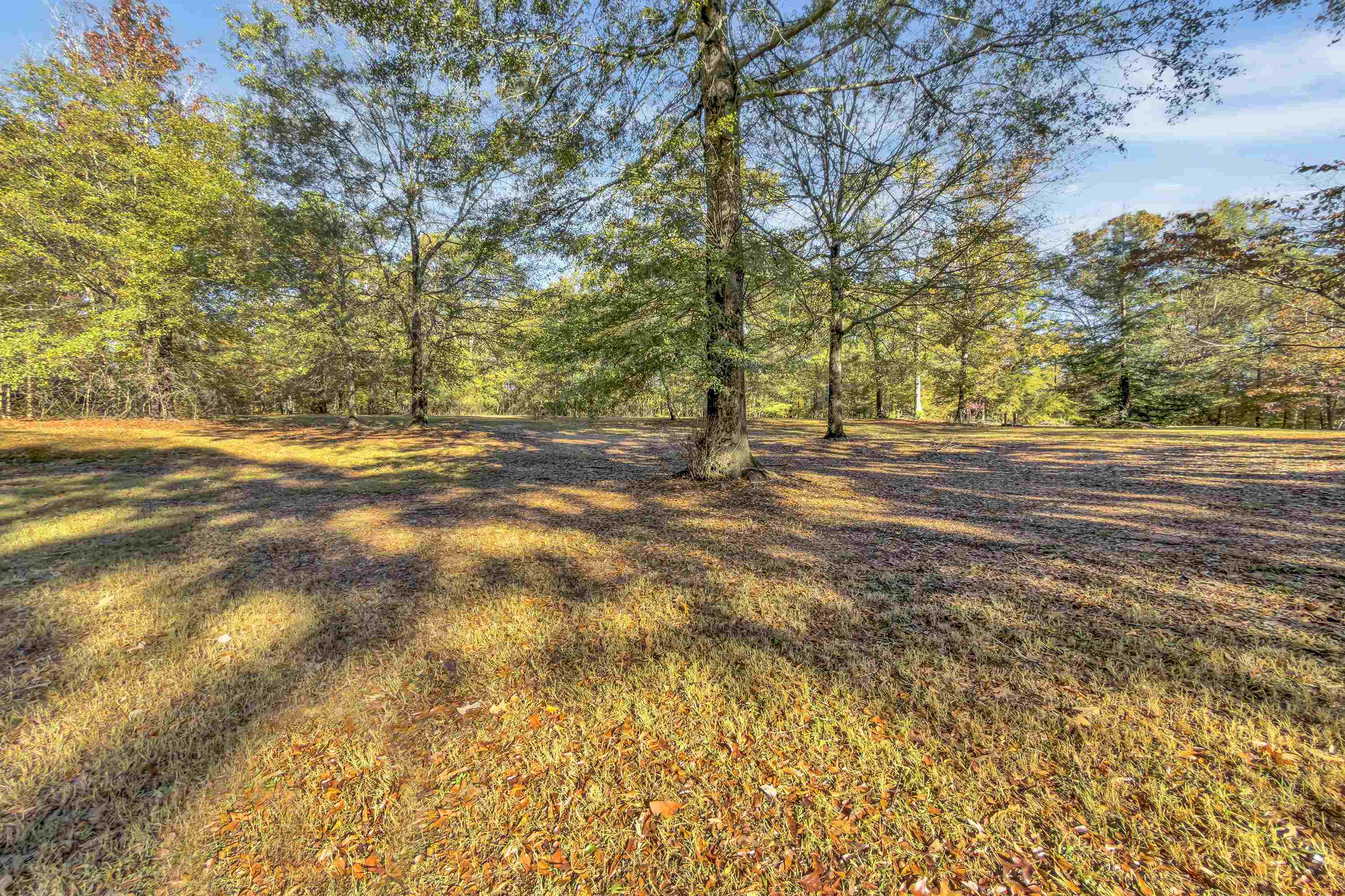 Woodruff, South Carolina, 29388, United States, 3 Bedrooms Bedrooms, ,2 BathroomsBathrooms,Residential,For Sale,1985035