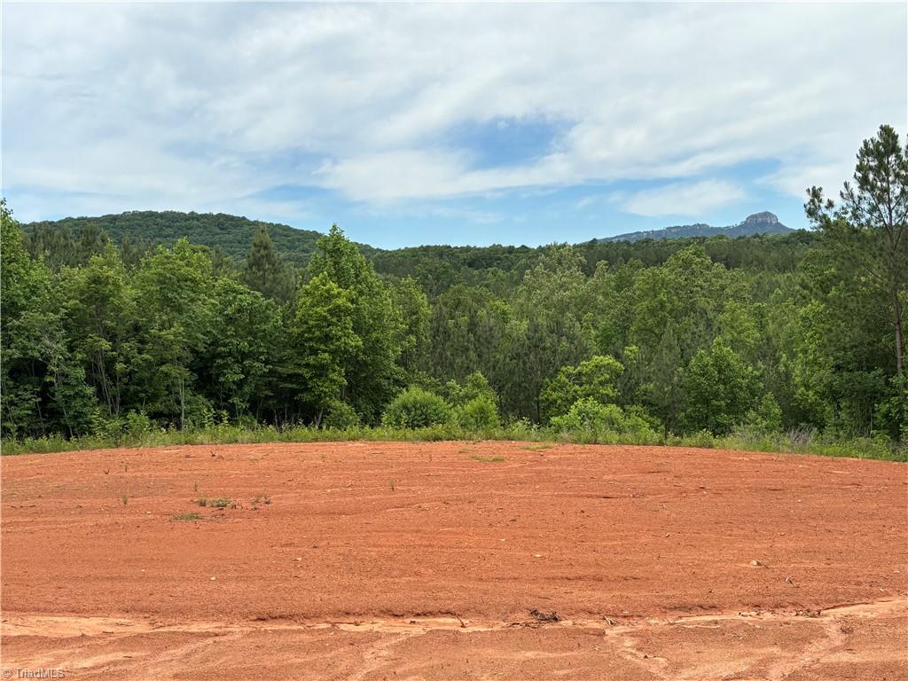 Pinnacle, North Carolina, 27043, United States, ,Land,For Sale,1829534