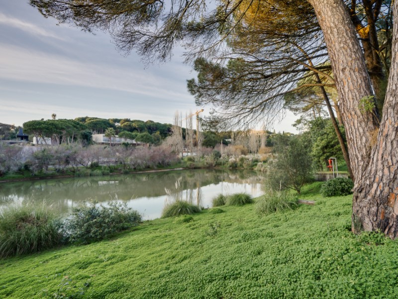 Avenida da Rep?blica, Cascais, Alcabideche, 2645-143, PT, 8 Bedrooms Bedrooms, ,10 BathroomsBathrooms,Residential,For Sale,Avenida da Rep?blica,1478474