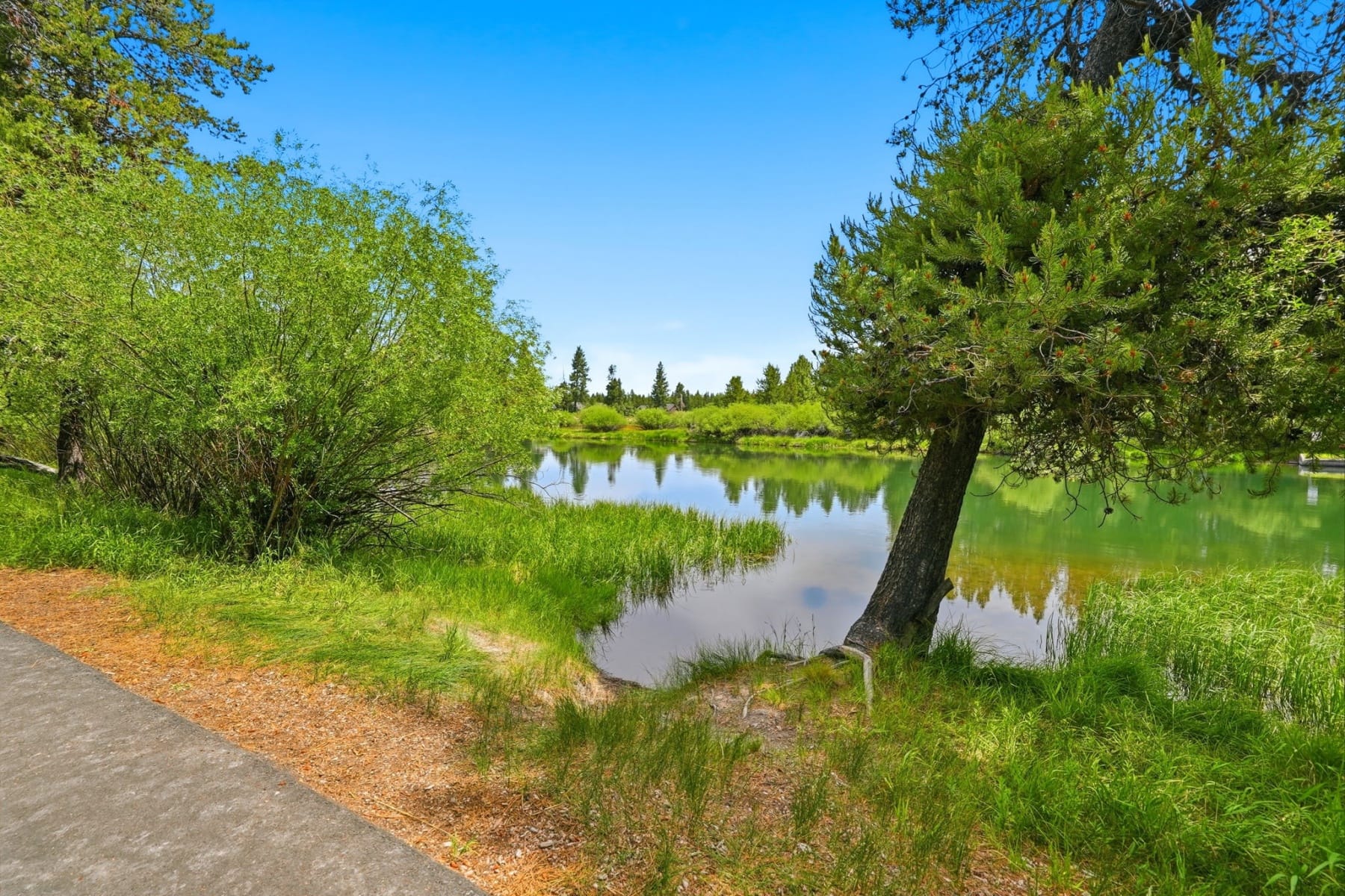  55626 Wagon Master Way Bend, OR 97707 - 物件實景