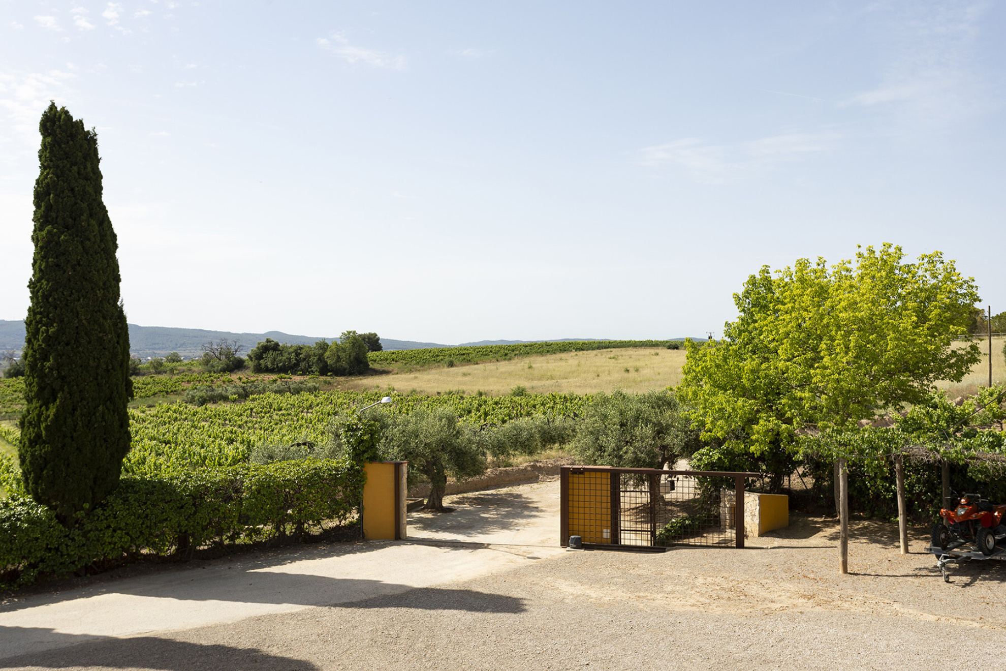  Equestrian Rural Gem in Castellví de la Marca, Only 5 Minutes from Vilafranca - 物件實景