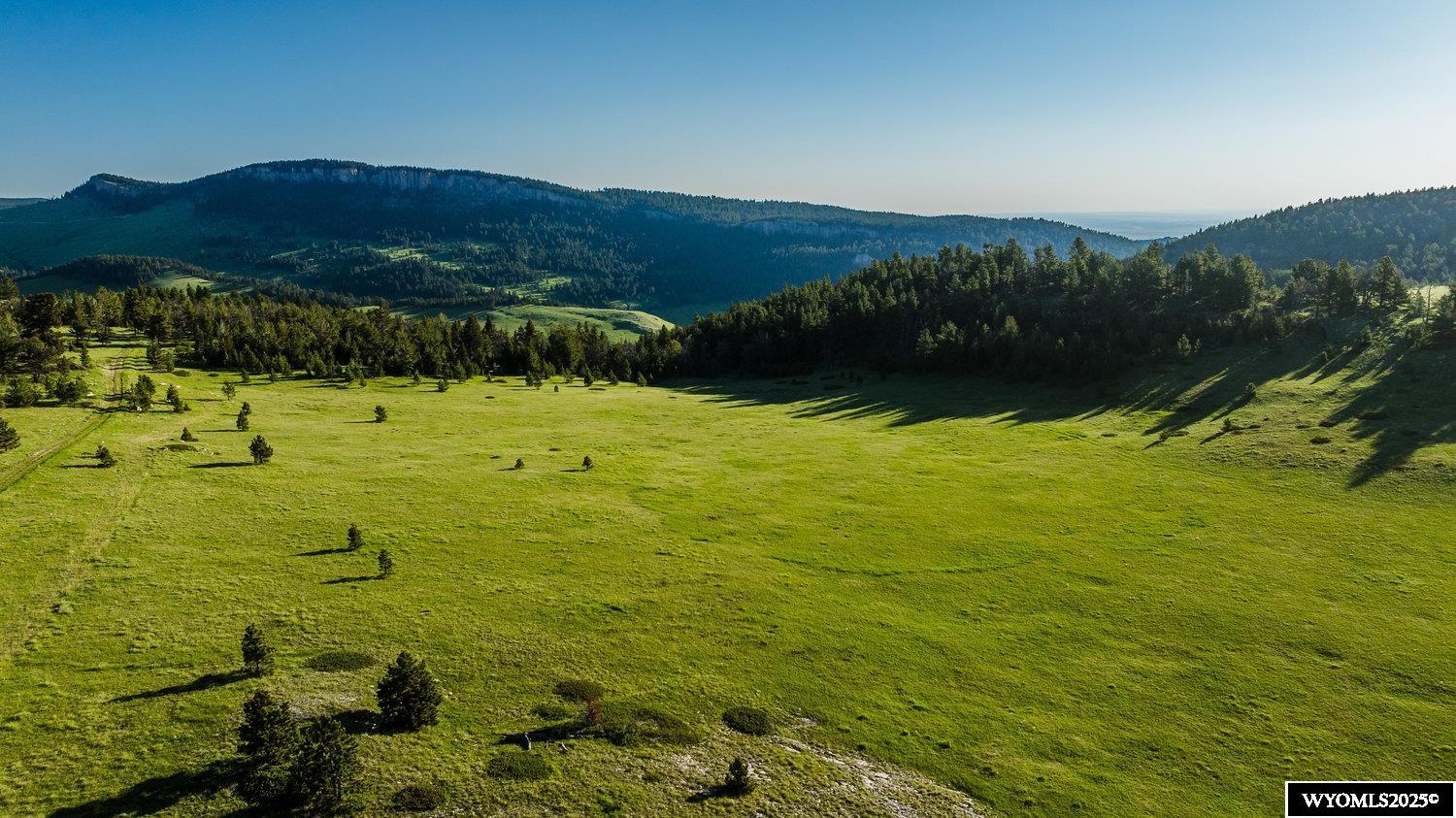 Buffalo, Wyoming, 82834, United States, ,Land,For Sale,1778348
