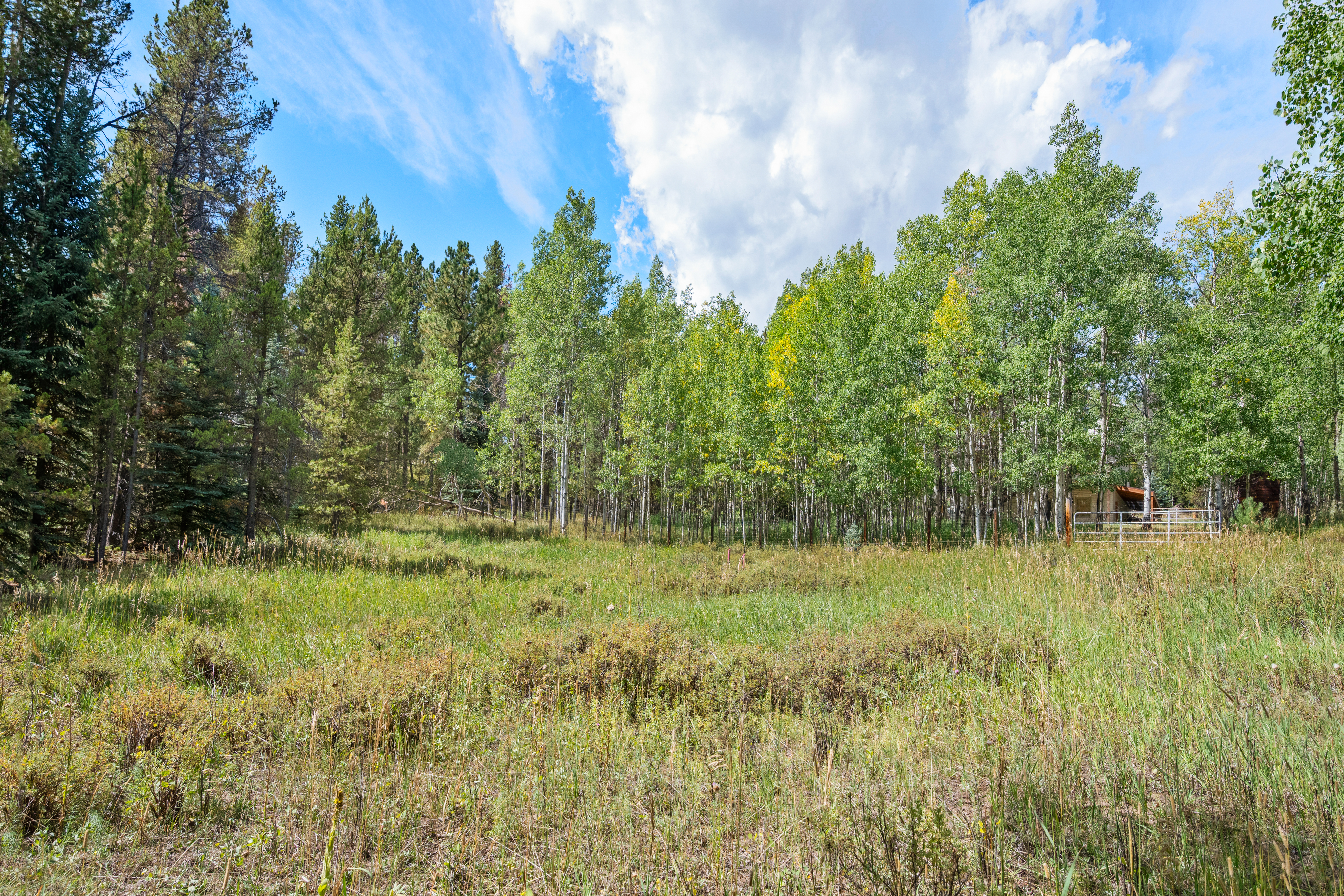  Peaceful Build-Ready Lot in Quiet Indian Springs Just 10 Min to 285 - 物件實景