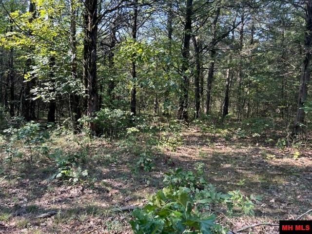 001-05276-003 INVERNESS DRIVE, Mountain Home, Arkansas, 72653, United States, ,Residential,For Sale,001-05276-003 INVERNESS DRIVE,1333567