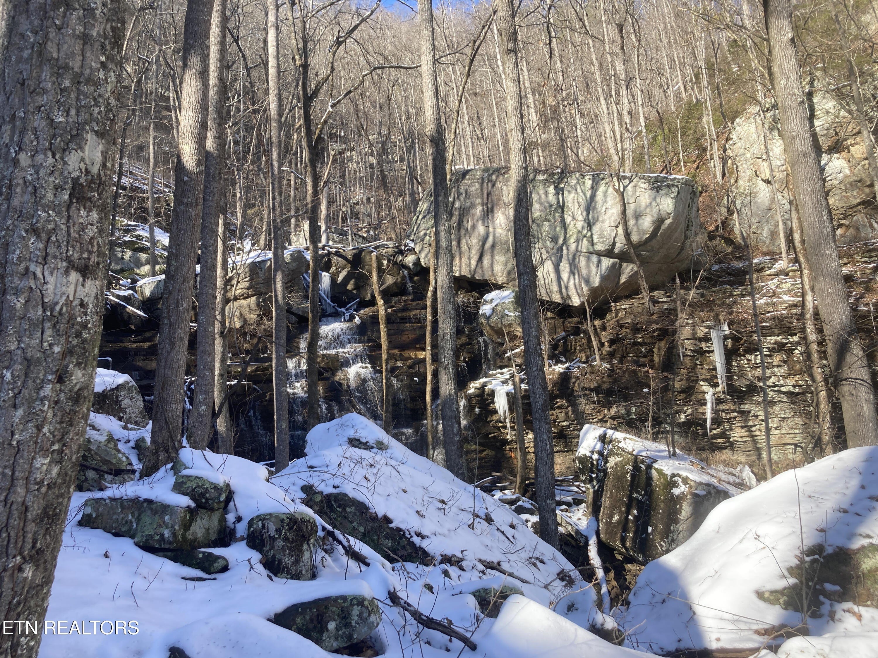 Pikeville, Tennessee, 37367, United States, ,Land,For Sale,1975616