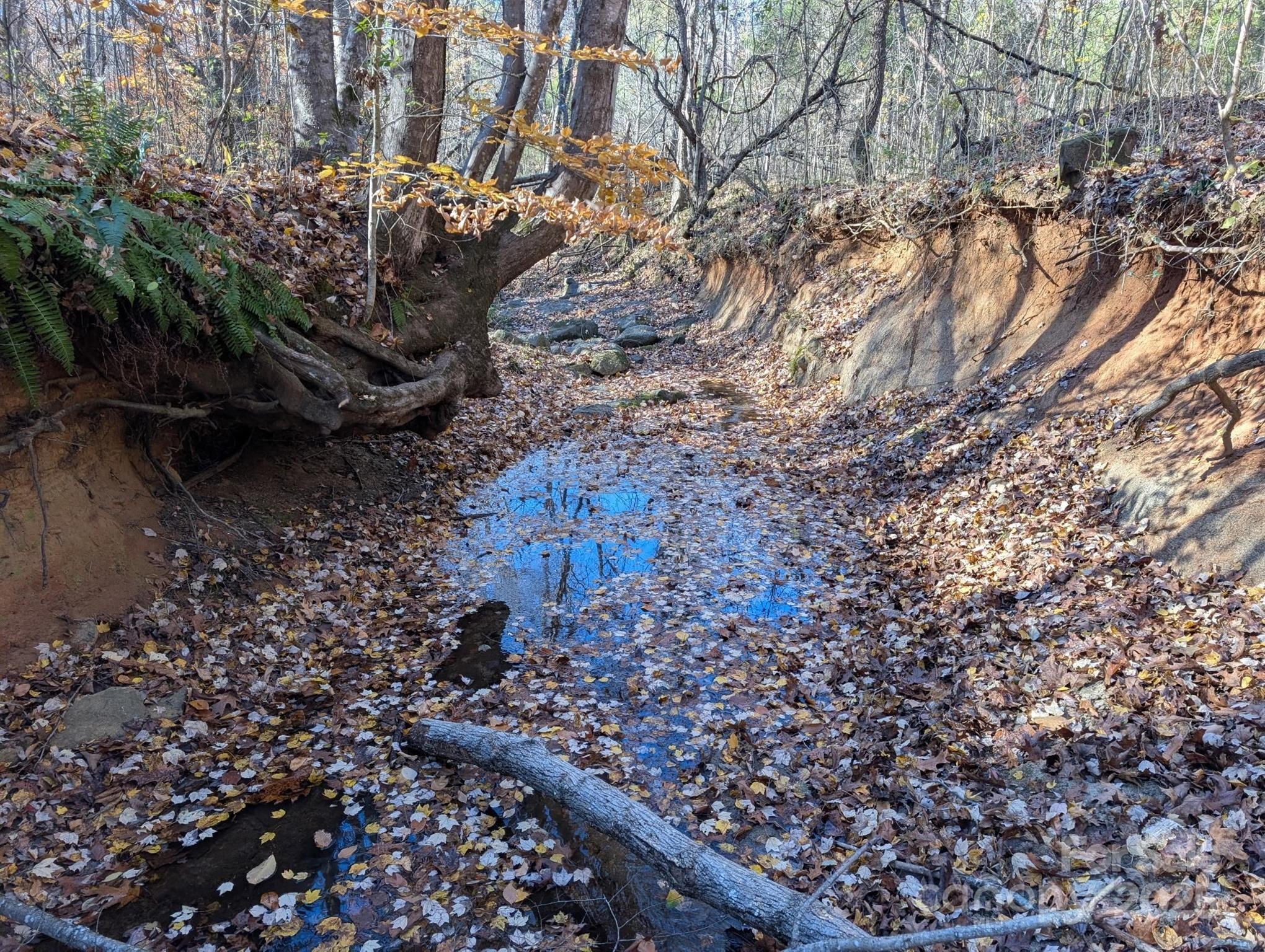 Salisbury, North Carolina, 28147, United States, ,Land,For Sale,1996519