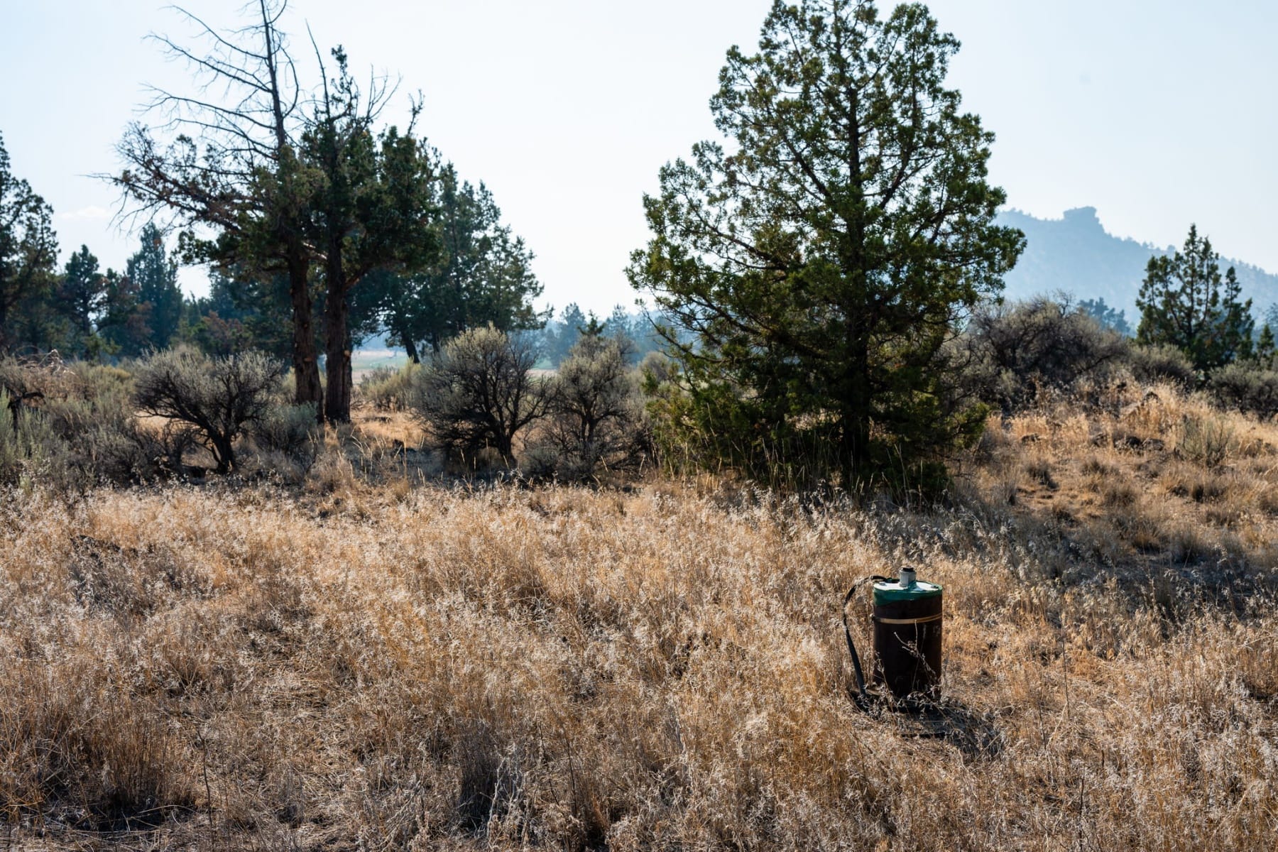  11330 NE Canyons Ranch Drive #LH 13 Terrebonne, OR 97760 - 物件實景