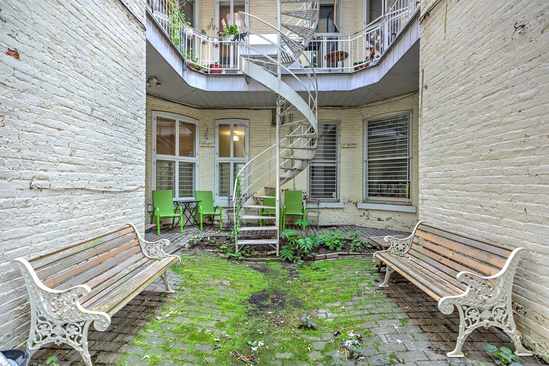  Le Plateau-Mont-Royal, Montréal - 物件實景