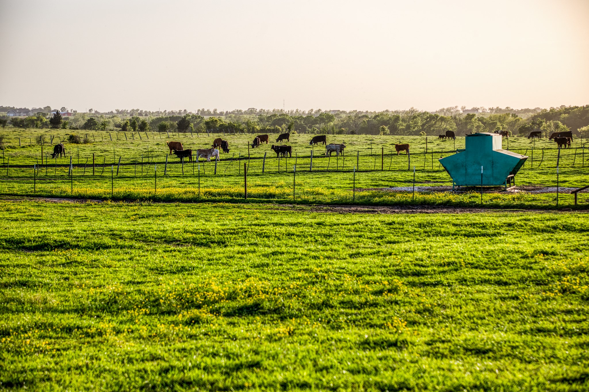  20751 Fm 1155, Washington, TX, 77880 - 物件實景