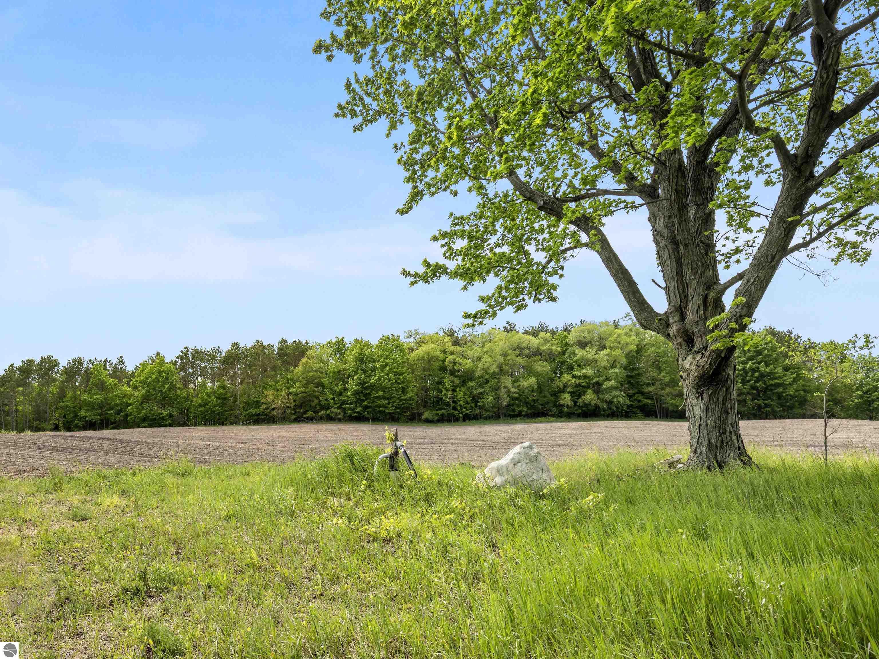 Beulah, Michigan, 49617, United States, ,Land,For Sale,1938552
