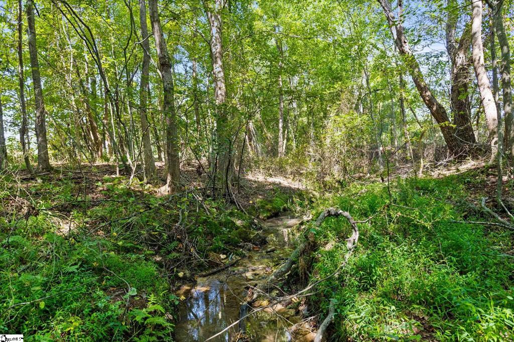 Piedmont, South Carolina, 29673, United States, ,Land,For Sale,1925219