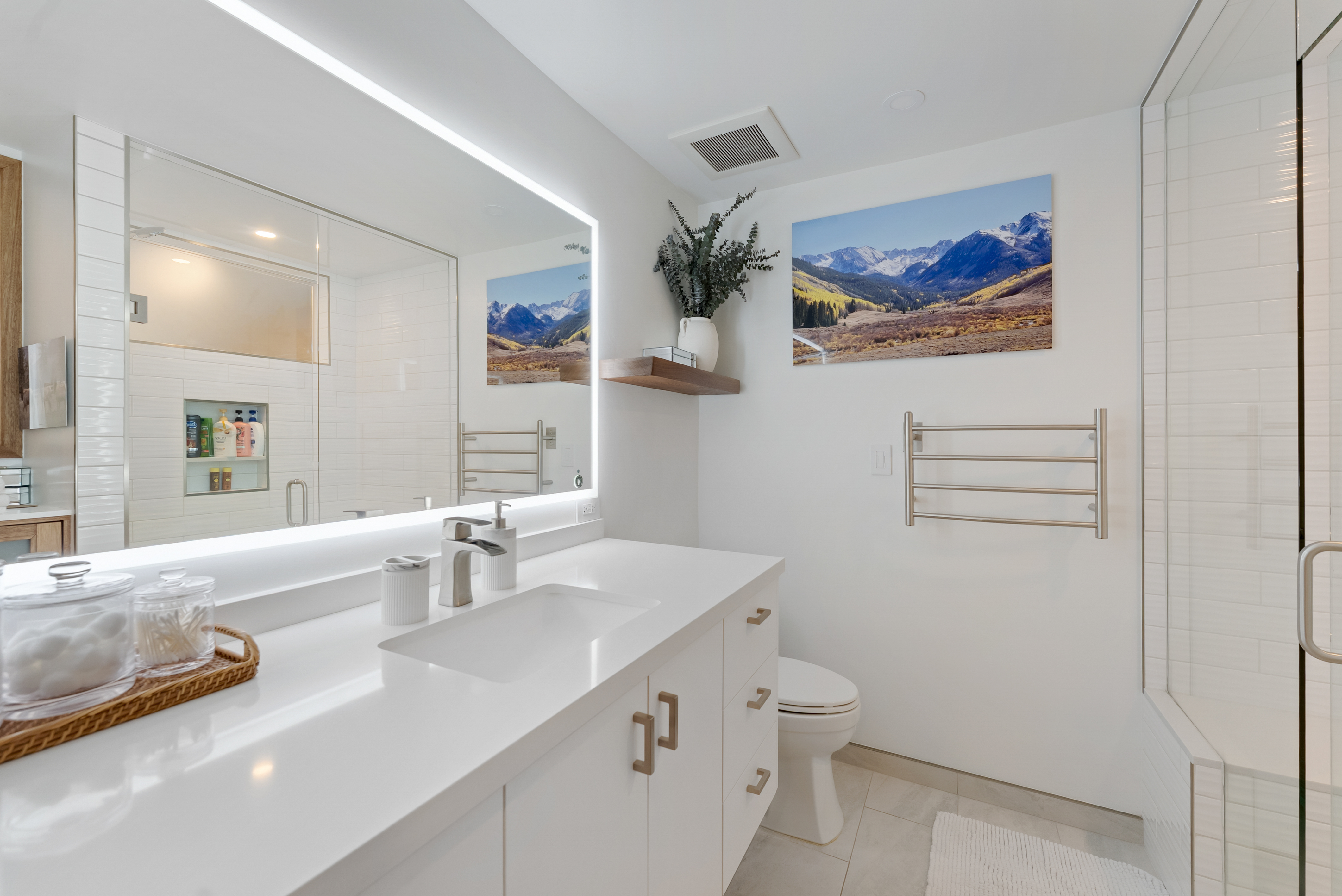  910 W Hallam Street, Aspen, CO, 81611 - 物件實景