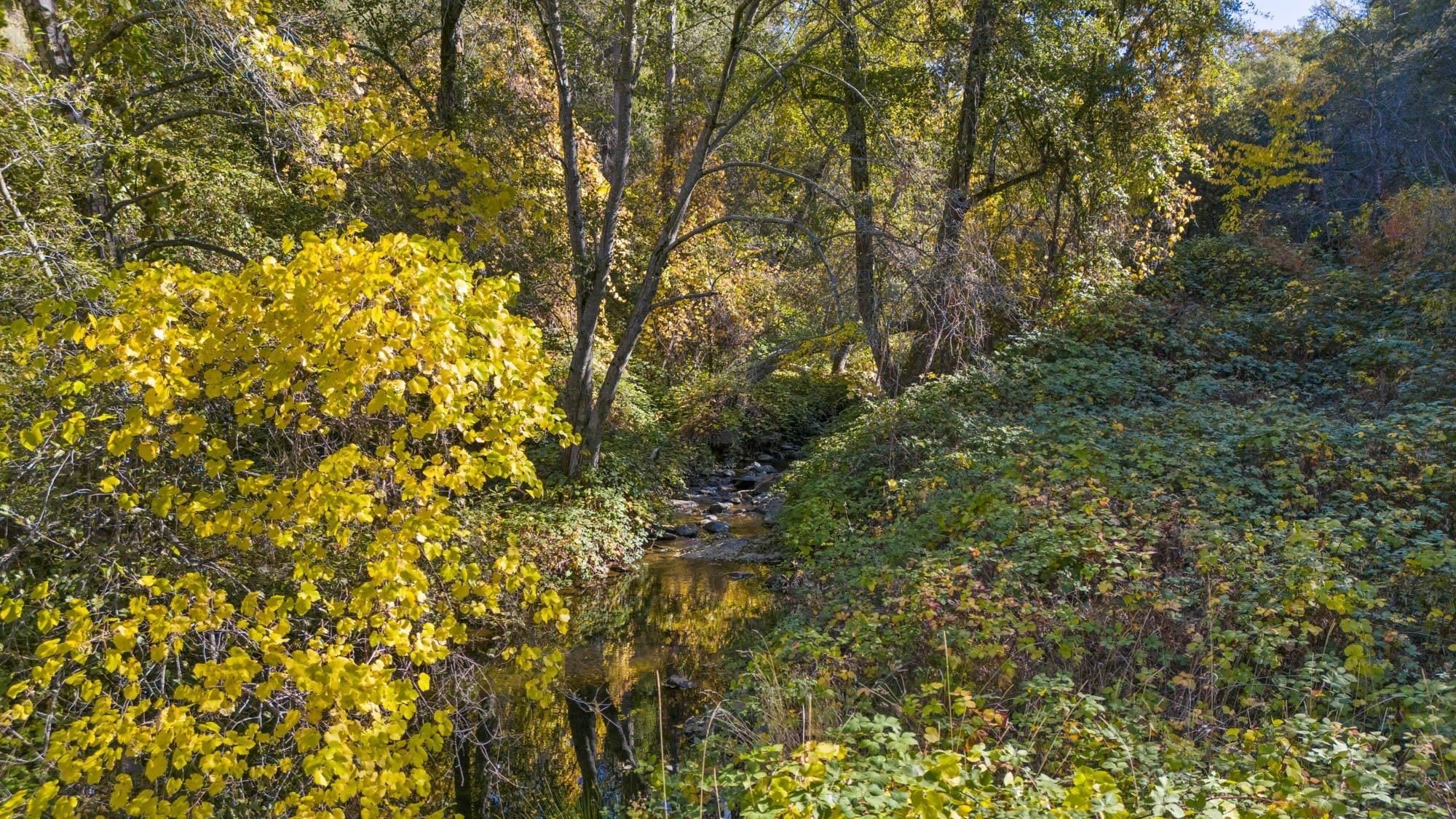 Sonora, California, 95370, United States, ,Residential,For Sale,2010802