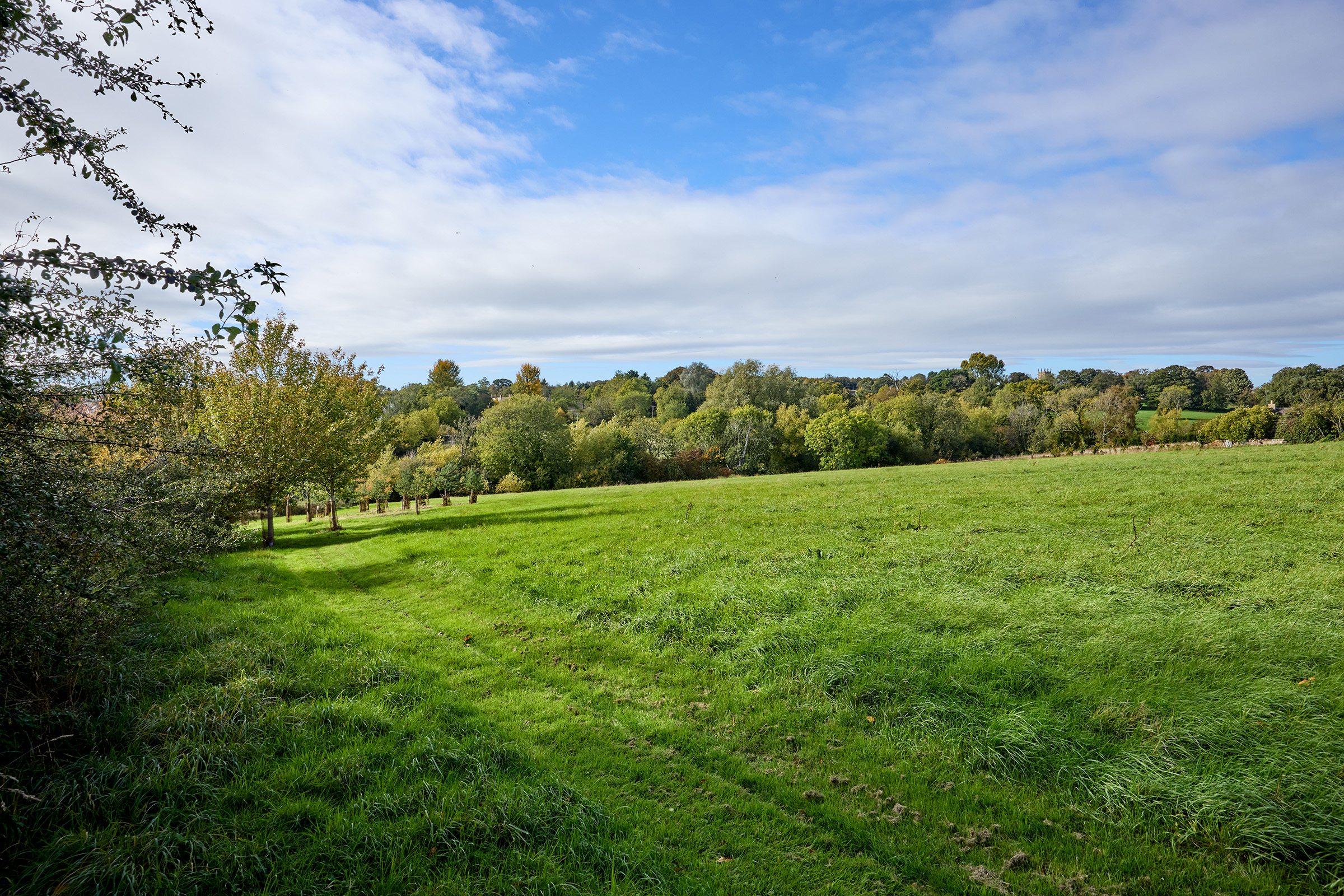  Cardwell House: A Georgian Home with Far-Reaching South-Westerly Views - 物件實景