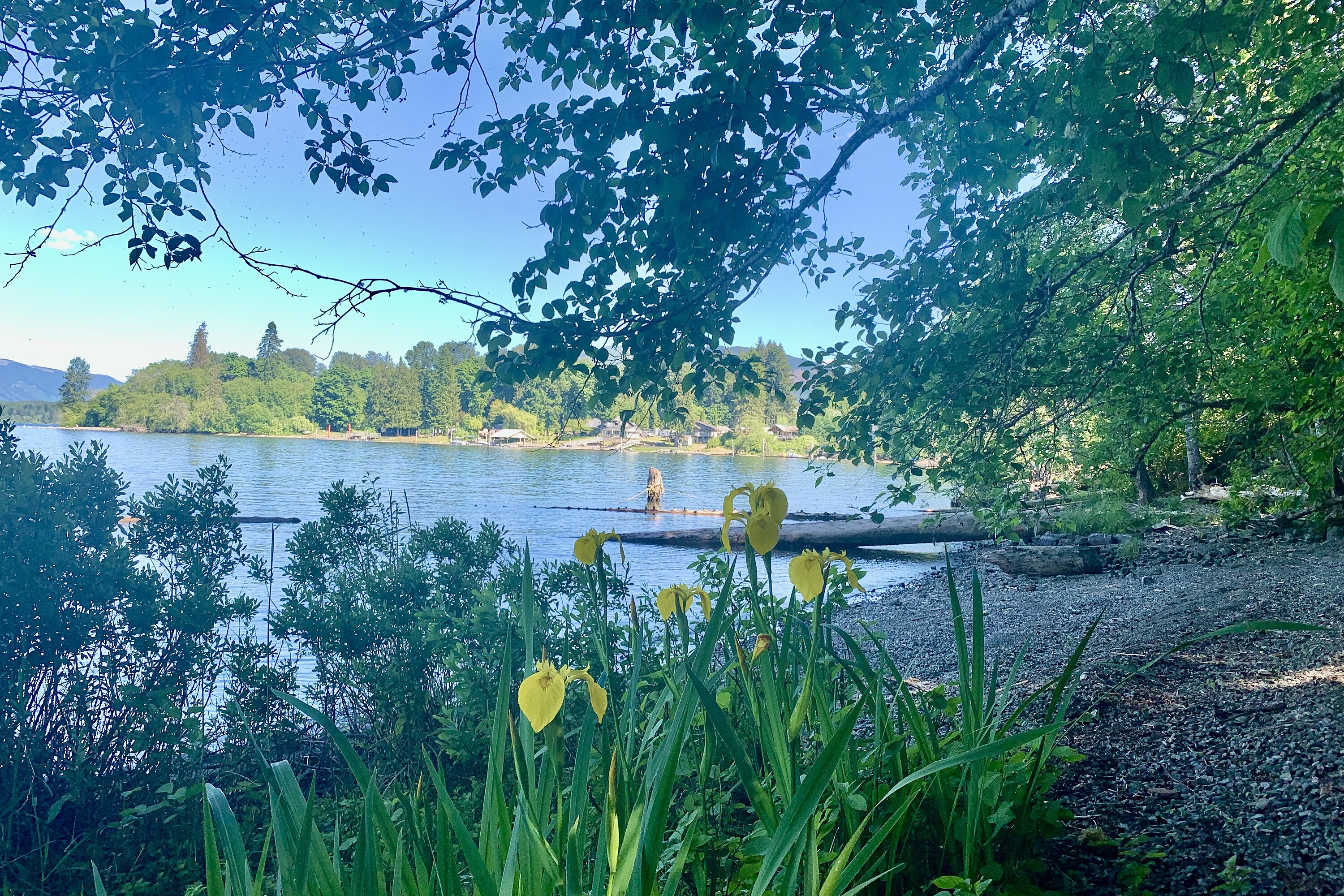  Honeymoon Bay - 物件實景