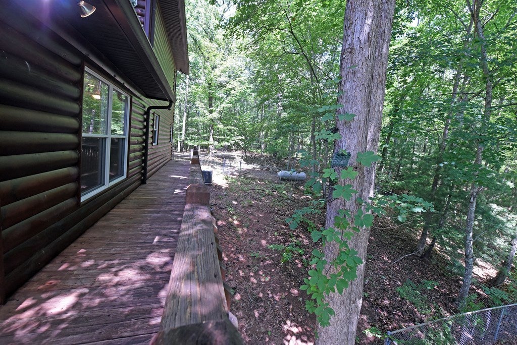 Mineral Bluff, Georgia, 30559, United States, 3 Bedrooms Bedrooms, ,3 BathroomsBathrooms,Residential,For Sale,1882955