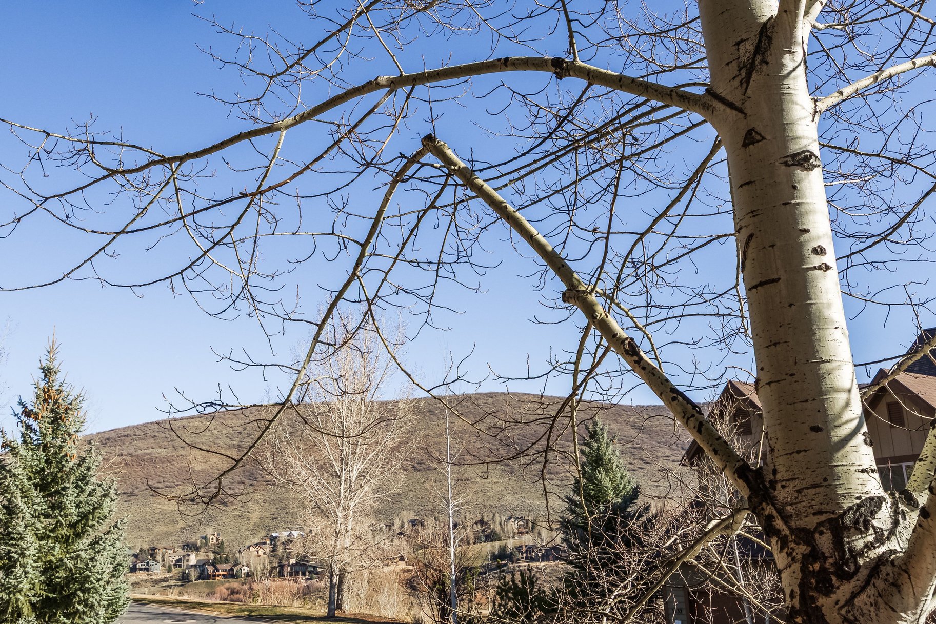  Modern Design Meets Alpine Charm in Jeremy Ranch - 物件實景