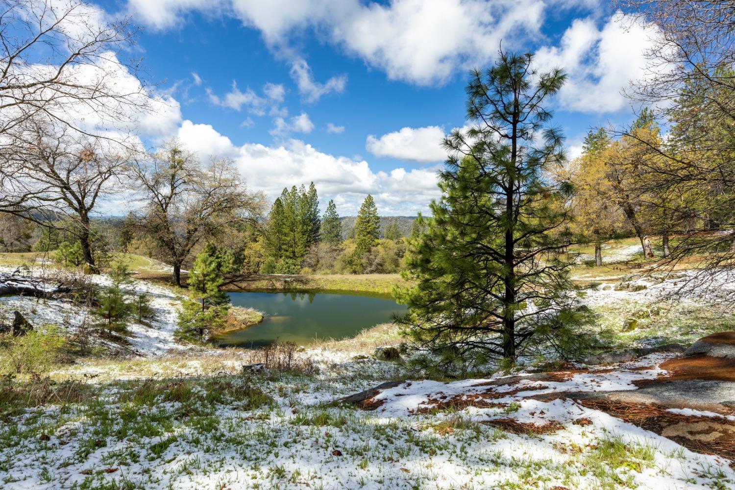 Somerset, California, 95684, United States, 2 Bedrooms Bedrooms, ,2 BathroomsBathrooms,Residential,For Sale,1854234