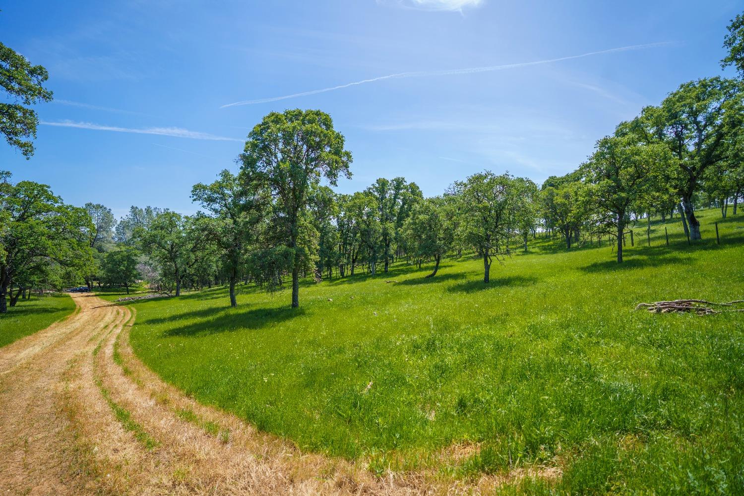 Lincoln, California, 95648, United States, ,Land,For Sale,1784125