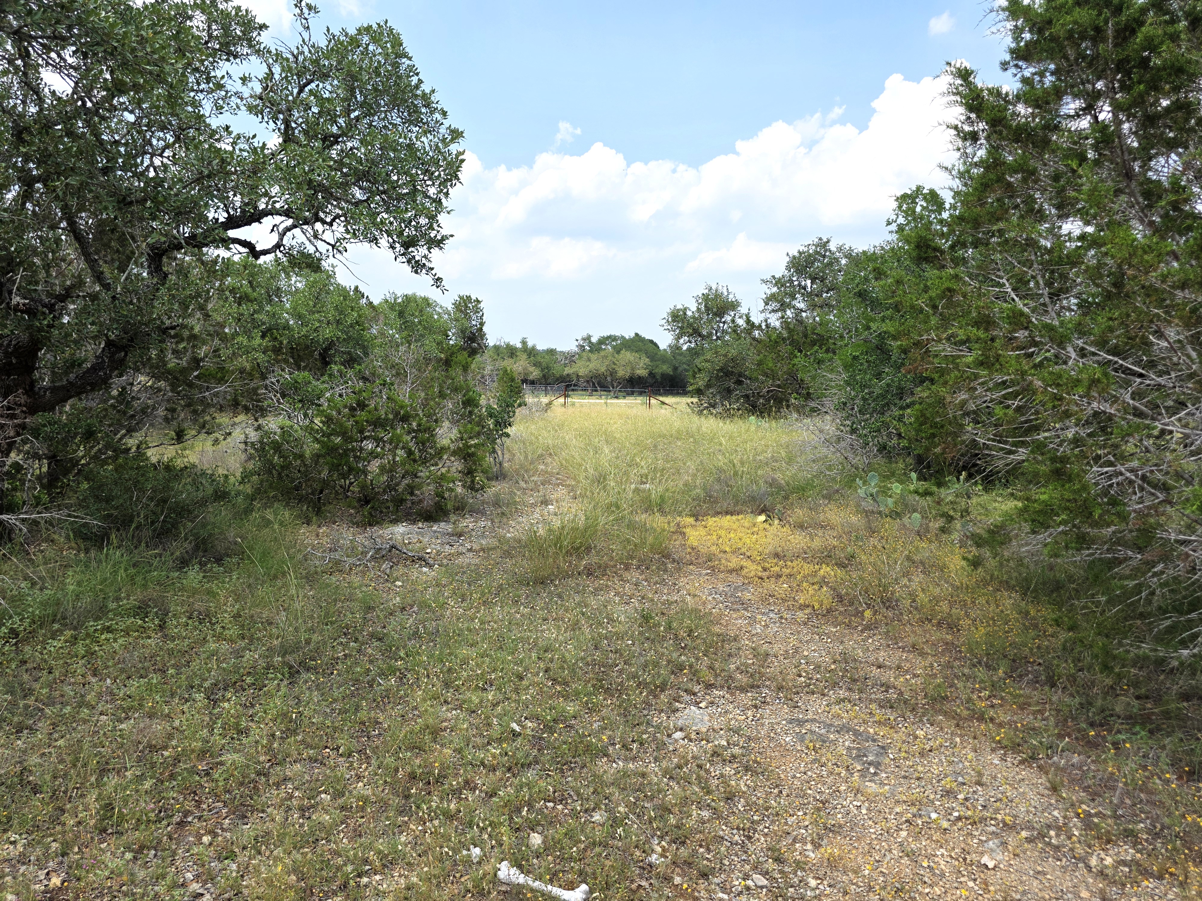 San Marcos, Texas, 78666, United States, ,Land,For Sale,1976108