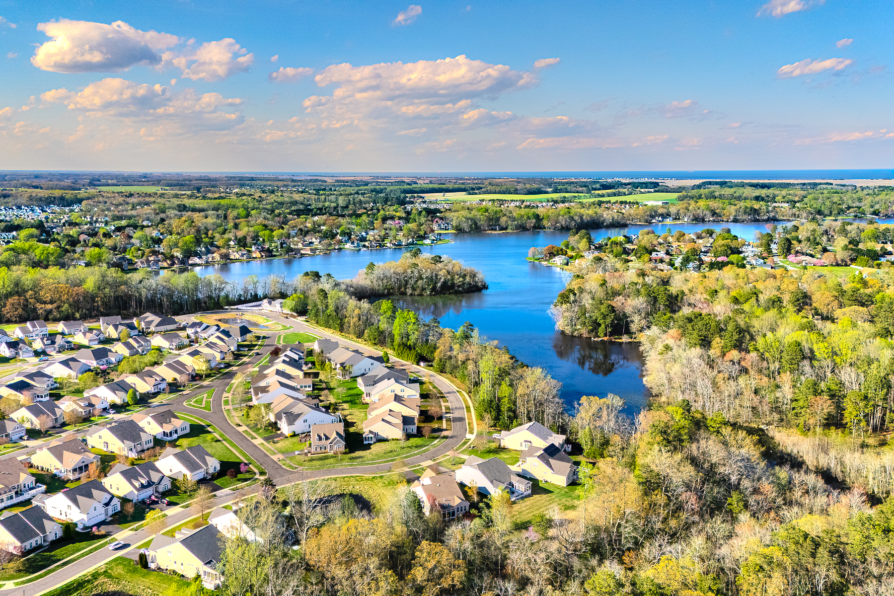  34258 Spring Brook Ave - 物件實景